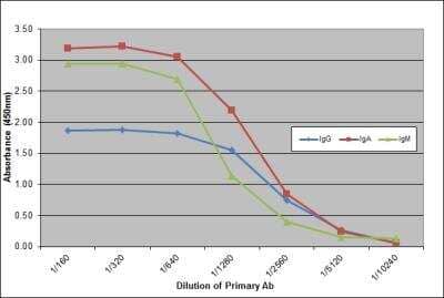 ELISA: Mouse anti-Canine IgA/IgG/IgM (H+L) Secondary Antibody (K99 2E3) [NBP3-11626] - Purified Canine IgG, IgA and IgM detected with Mouse anti Dog IgG/A/M followed by Rabbit F(ab')2 anti Mouse IgG:HRP.