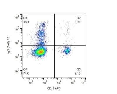 Flow Cytometry: Mouse anti-Human IgG F(ab) Secondary Antibody (4A11) [PE] [NBP1-44932] - Analysis (surface staining) of human peripheral blood cells with anti-human IgG Fab fragment (4A11) PE. 