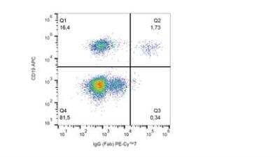 Flow Cytometry: Mouse anti-Human IgG F(ab) Secondary Antibody (4A11) [NB500-467] - Surface staining of human peripheral blood cells with anti-human IgG Fab fragment (4A11) PE-CyTM7.