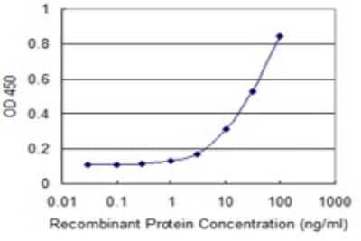 Sandwich ELISA: MuSK Antibody (4C4) [H00004593-M08] - Detection limit for recombinant GST tagged MUSK is 1 ng/ml as a capture antibody.
