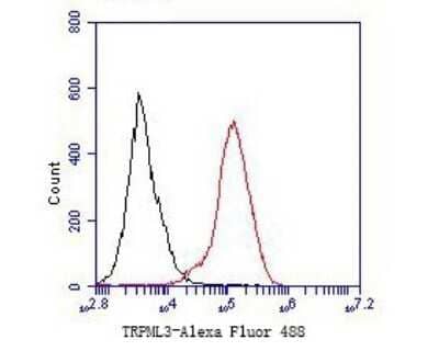 Flow Cytometry: Mucolipin 3 Antibody [NBP2-80438] - Analysis of Mucolipin 3 was done on F9 cells. The cells were fixed, permeabilized and stained with the primary antibody (1/50) (red). After incubation of the primary antibody at room temperature for an hour, the cells were stained with a Alexa Fluor 488-conjugated Goat anti-Rabbit IgG Secondary antibody at 1/1000 dilution for 30 minutes. Unlabeled sample was used as a control (cells without incubation with primary antibody; black).
