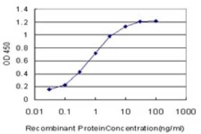 Sandwich ELISA: Muscarinic Acetylcholine Receptor M2/CHRM2 Antibody (4B5) [H00001129-M01] - Detection limit for recombinant GST tagged CHRM2 is approximately 0.03ng/ml as a capture antibody.