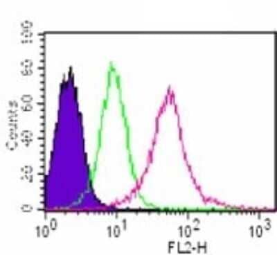 Flow Cytometry: MyD88 Antibody (4D6) - Azide and BSA Free [NBP2-80862] - Intracellular analysis of MyD88 antibody in Jurkat cells using 0.5 ug. Shaded histogram represents cells without antibody; green represents isotype control; red represents MyD88 antibody. This antibody was used for this test, and an anti-mouse IgG PE conjugated secondary antibody. Image from the standard format of this antibody.