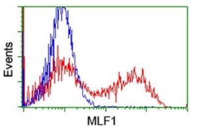 Flow Cytometry: Myeloid leukemia factor 1 Antibody (OTI3A3) [NBP2-02052] - HEK293T cells transfected with either Myeloid leukemia factor 1 Human Tagged ORF Clone overexpress plasmid (Red) or empty vector control plasmid (Blue) were immunostained by anti-MLF1 antibody , and then analyzed by flow cytometry.