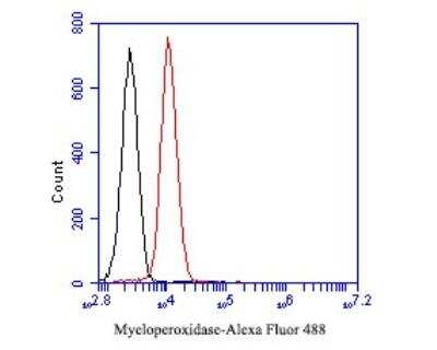 Flow Cytometry: Myeloperoxidase/MPO Antibody (A1F2) [NBP2-89126] - Analysis of Myeloperoxidase was done on HL-60 cells. The cells were fixed, permeabilized and stained with the primary antibody( 1/50) (red). After incubation of the primary antibody at room temperature for an hour, the cells were stained with a Alexa Fluor 488-conjugated Goat anti-Mouse IgG Secondary antibody at 1/1000 dilution for 30 minutes.Unlabelled sample was used as a control (cells without incubation with primary antibody; black).