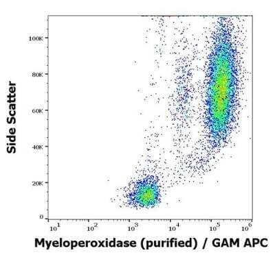 Flow (Intracellular): Myeloperoxidase/MPO Antibody (MPO421-8B2) [NBP2-41406] - Intracellular staining pattern of human peripheral whole blood stained using anti-human Myeloperoxidase (MPO421-8B2) purified antibody (concentration in sample 1 ug/ml).