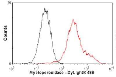 Flow Cytometry: Myeloperoxidase/MPO Antibody (SP72) [NBP2-12481] - HeLa cells stained with (red line). The cells were fixed with 80% methanol (5 min) and then permeabilized with 0.1% PBS-Tween for 20 min. The cells were then incubated in 1x PBS / 10% normal goat serum / 0.3M glycine to block non-specific protein-protein interactions followed by the antibody (1/100 dilution) for 30 min at 22ºC. The secondary antibody used was DyLight® 488 goat anti-rabbit IgG (H+L)  at 1/500 dilution for 30 min at 22ºC. Isotype control antibody (black line) was rabbit IgG (monoclonal) (1ug/1x106 cells) used under the same conditions. Acquisition of >5,000 events was performed.