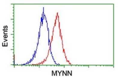 Flow Cytometry: Myoneurin Antibody (3B9) [NBP2-46070] - Analysis of Jurkat cells, using MYNN antibody (Red), compared to a nonspecific negative control antibody (Blue).