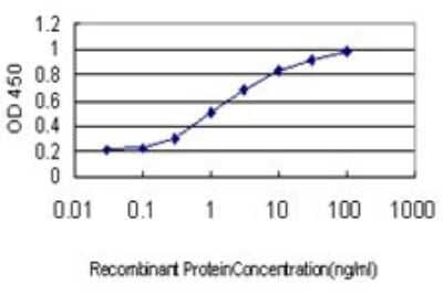 Sandwich ELISA: Myoneurin Antibody (3E8) [H00055892-M01] - Detection limit for recombinant GST tagged MYNN is approximately 0.1ng/ml as a capture antibody.