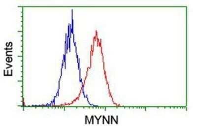 Flow Cytometry: Myoneurin Antibody (OTI1F10) - Azide and BSA Free [NBP2-72863] - Analysis of Hela cells, using anti-Myoneurin antibody, (Red), compared to a nonspecific negative control antibody (Blue).