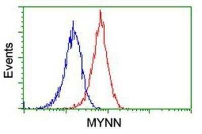 Flow Cytometry: Myoneurin Antibody (OTI1F10) - Azide and BSA Free [NBP2-72863] - Analysis of Jurkat cells, using anti-Myoneurin antibody, (Red), compared to a nonspecific negative control antibody (Blue).