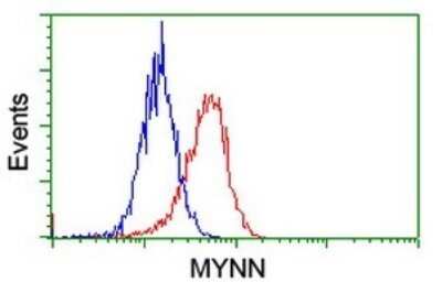 Flow Cytometry: Myoneurin Antibody (OTI3B9) - Azide and BSA Free [NBP2-72864] - Analysis of Hela cells, using MYNN antibody (Red), compared to a nonspecific negative control antibody (Blue).