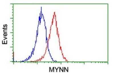 Flow Cytometry: Myoneurin Antibody (OTI3B9) - Azide and BSA Free [NBP2-72864] - Analysis of Jurkat cells, using MYNN antibody (Red), compared to a nonspecific negative control antibody (Blue).