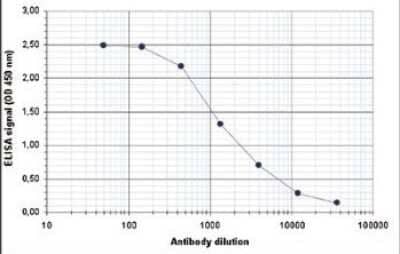 ELISA: Myosin heavy chain 11 Antibody [NBP2-59221] - To determine the titer of the antibody, an ELISA was performed using a serial dilution of the antibody directed against human MYH11. The plates were coated with the peptides used for immunization of the rabbit. By plotting the absorbance against the antibody dilution, the titer of the antibody was estimated to be 1:1,900.