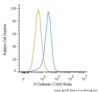 Flow Cytometry: N-Cadherin Antibody (13A9) [Biotin] [NBP1-48309B] - An intracellular stain was performed on HeLa Cells with N-Cadherin Antibody (13A9)NBP1-48309B and a matched isotype control. Both antibodies were conjugated to biotin. Cells were fixed with 4% PFA and then permeablized with 0.1% saponin. Cells were incubated in an antibody dilution of 5 ug/mL for 30 minutes at room temperature, followed by Streptavidin - R-Phycoerythrin Protein (2012-1000, Novus Biologicals).