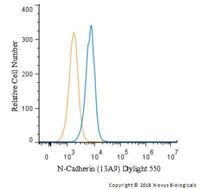 Flow Cytometry: N-Cadherin Antibody (13A9) [DyLight 550] [NBP1-48309R] - An intracellular stain was performed on HeLa cells with N-Cadherin Antibody (13A9)NBP1-48309R and a matched isotype control (orange). Cells were fixed with 4% PFA and then permeabilized with 0.1% saponin. Cells were incubated in an antibody dilution of 10 ug/mL for 30 minutes at room temperature. Both antibodies were conjugated to Dylight 550.