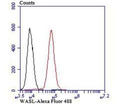 Flow Cytometry: N-WASP Antibody (JU07-31) [NBP2-75599] - Analysis of K562 cells with WASL antibody at 1/100 dilution (red) compared with an unlabelled control (cells without incubation with primary antibody; black).