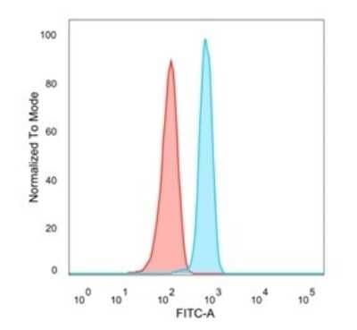 Flow Cytometry: N myc interactor Antibody (PCRP-NMI-1C1) [NBP3-08812] - Flow Cytometric Analysis of PFA-fixed HeLa cells. N myc interactor Mouse Monoclonal Antibody (PCRP-N myc interactor-1C1) followed by goat anti- Mouse IgG-CF488 (blue); unstained cells (red).