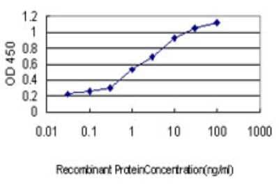 Sandwich ELISA: N4BP2 Antibody (2H5) [H00055728-M01] - Detection limit for recombinant GST tagged N4BP2 is approximately 0.03ng/ml as a capture antibody.