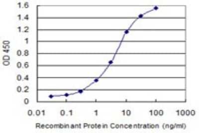 Sandwich ELISA: NAPG Antibody (4B5) [H00008774-M03] - Detection limit for recombinant GST tagged NAPG is 0.03 ng/ml as a capture antibody.