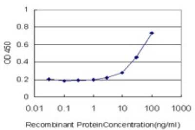 Sandwich ELISA: NARS Antibody (1D4) [H00004677-M02] - Detection limit for recombinant GST tagged NARS is approximately 3ng/ml as a capture antibody.