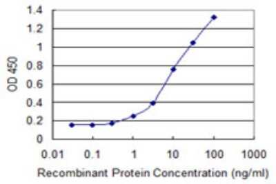 Sandwich ELISA: NAV2 Antibody (4D11) [H00089797-M01] - Detection limit for recombinant GST tagged NAV2 is 0.3 ng/ml as a capture antibody.