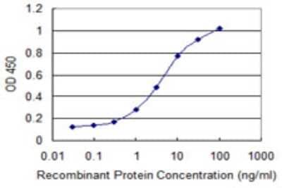Sandwich ELISA: NDRG2 Antibody (1D6) [H00057447-M10] - Detection limit for recombinant GST tagged NDRG2 is 0.1 ng/ml as a capture antibody.