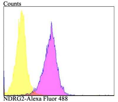 Flow Cytometry: NDRG2 Antibody [NBP2-76951] - Flow cytometric analysis of HepG2 cells with NDRG2 antibody at 1/100 dilution (purple) compared with an unlabelled control (cells without incubation with primary antibody; yellow). Alexa Fluor 488-conjugated goat anti-rabbit IgG was used as the secondary antibody.