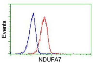 Flow Cytometry: NDUFA7 Antibody (2G4) [NBP2-00564] - Analysis of Hela cells, using anti-NDUFA7 antibody, (Red), compared to a nonspecific negative control antibody (Blue).