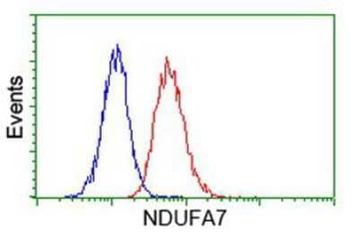 Flow Cytometry: NDUFA7 Antibody (2G4) [NBP2-00564] - Analysis of Jurkat cells, using anti-NDUFA7 antibody, (Red), compared to a nonspecific negative control antibody (Blue).