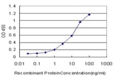 Sandwich ELISA: NDUFAB1 Antibody (2D10) [H00004706-M06] - Detection limit for recombinant GST tagged NDUFAB1 is approximately 0.3ng/ml as a capture antibody.