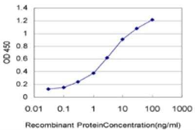 ELISA: NDUFB11 Antibody (1D6) [H00054539-M12] - Detection limit for recombinant GST tagged NDUFB11 is approximately 0.03ng/ml as a capture antibody.