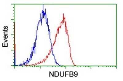 Flow Cytometry: NDUFB9 Antibody (OTI13H11) - Azide and BSA Free [NBP2-72919] - Analysis of Jurkat cells, using NDUFB9 antibody,(Red), compared to a nonspecific negative control antibody (Blue).