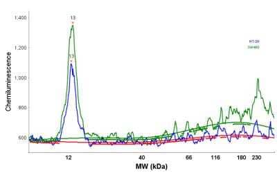 Simple Western: NDUFC2 Antibody [NBP1-88934] - Electropherogram image of the corresponding Simple Western lane view. NDUFC2 antibody was used at 1:10 dilution on HT-29 and HCT 116 lysate(s) respectively.