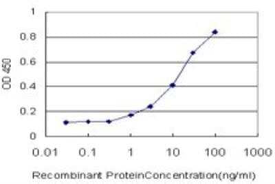 ELISA: NEIL2 Antibody (1B7) [H00252969-M01] - Detection limit for recombinant GST tagged NEIL2 is approximately 1ng/ml as a capture antibody.