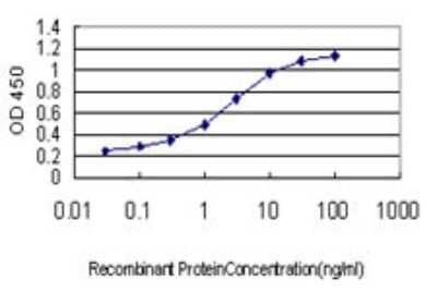 Sandwich ELISA: NEK10 Antibody (1C9) [H00152110-M01] - Detection limit for recombinant GST tagged NEK10 is approximately 0.03ng/ml as a capture antibody.