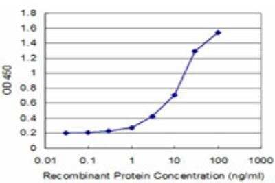 ELISA: NELL1 Antibody (3F1) [H00004745-M03] - Detection limit for recombinant GST tagged NELL1 is approximately 1ng/ml as a capture antibody.