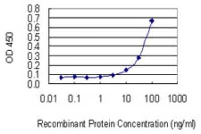 Sandwich ELISA: NETO2 Antibody (3E3) [H00081831-M02] - Detection limit for recombinant GST tagged NETO2 is 3 ng/ml as a capture antibody.