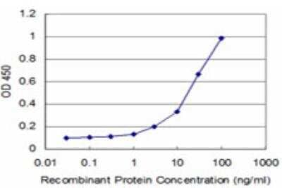 ELISA: NEU2 Antibody (2E5) [H00004759-M04] - Detection limit for recombinant GST tagged NEU2 is approximately 3ng/ml as a capture antibody.