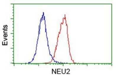 Flow Cytometry: NEU2 Antibody (OTI4F4) - Azide and BSA Free [NBP2-72944] - Analysis of Hela cells, using anti-NEU2 antibody, (Red), compared to a nonspecific negative control antibody (Blue).