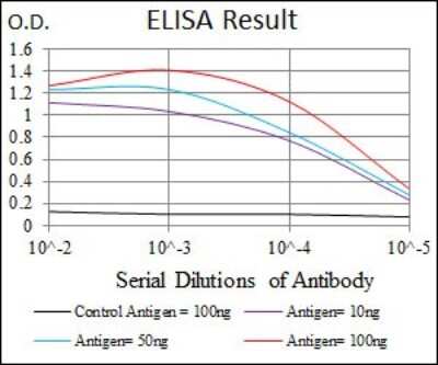 ELISA: NF-H Antibody (8H10) [NBP2-37443] - Red: Control Antigen (100ng); Purple: Antigen (10ng); Green: Antigen (50ng); Blue: Antigen (100ng);
