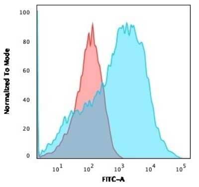 Flow Cytometry: NF-H Antibody (NE14) - Azide and BSA Free [NBP2-47834] - Flow Cytometric Analysis of HEK293 cells using NF-H Antibody (NE14).followed by goat anti-Mouse IgG-CF488 (Blue); Isotype control (Red).