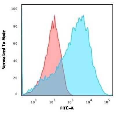 Flow Cytometry: NF-H Antibody (NEFL.H/2324R) [NBP3-07406] - Flow Cytometric Analysis of HEK293 cells using NF-H Rabbit Recombinant Monoclonal Ab (NEFL.H/2324R) followed by goat anti- Mouse IgG-CF488 (Blue); Isotype control (Red).