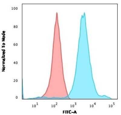 Flow Cytometry: NF-H Antibody (NF421) - Azide and BSA Free [NBP2-33102] - Flow Cytometric Analysis of HEK293 cells using NF-H Antibody (NF421) followed by goat anti-Mouse IgG-CF488 (Blue); Isotype control (Red).