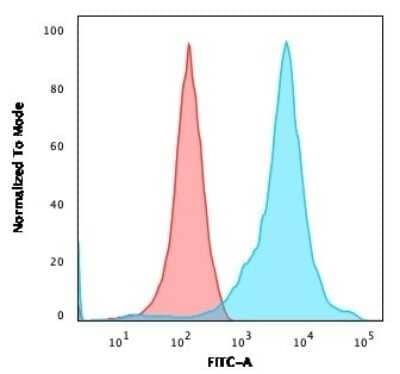 Flow Cytometry: NF-H Antibody (RT-97 + NR-4) [NBP2-45280] - Flow Cytometric Analysis of HEK293 cells using NF-H Antibody (RT-97 + NR-4) followed by goat anti-Mouse IgG-CF488 (Blue); Isotype control (Red).