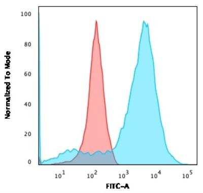 Flow Cytometry: NF-L Antibody (NR-4) - Azide and BSA Free [NBP2-47969] - HEK293 cells using Neurofilament Mouse Monoclonal Antibody (NR-4) followed by goat anti-Mouse IgG-CF488 (Blue); Isotype control (Red).