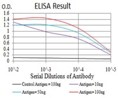 ELISA: NF-M Antibody (1B6B12) [NBP2-61659] - Black line: Control Antigen (100 ng);Purple line: Antigen (10ng); Blue line: Antigen (50 ng); Red line:Antigen (100 ng)