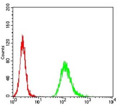 Flow Cytometry: NF-M Antibody (1B6B12) [NBP2-61659] - Analysis of Hela cells using NEFM mouse mAb (green) and negative control (red).