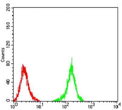 Flow Cytometry: NF-M Antibody (1B6B12) [NBP2-61659] - Analysis of Raji cells using NF-M mouse mAb (green) and negative control (red).