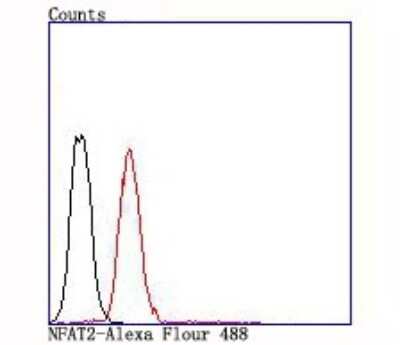 Flow Cytometry: NFATC1/NFAT2 Antibody (JA81-03) [NBP2-66973] - Analysis of Jurkat cells with NFAT2 antibody at 1/100 dilution (red) compared with an unlabelled control (cells without incubation with primary antibody; black).